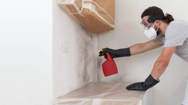Professional Bathroom Mold Removal technician working in Plano, KY