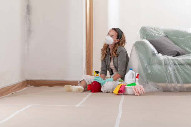 Reliable Bathroom Mold Removal contractor in Plano, KY by WQB Mold Removal